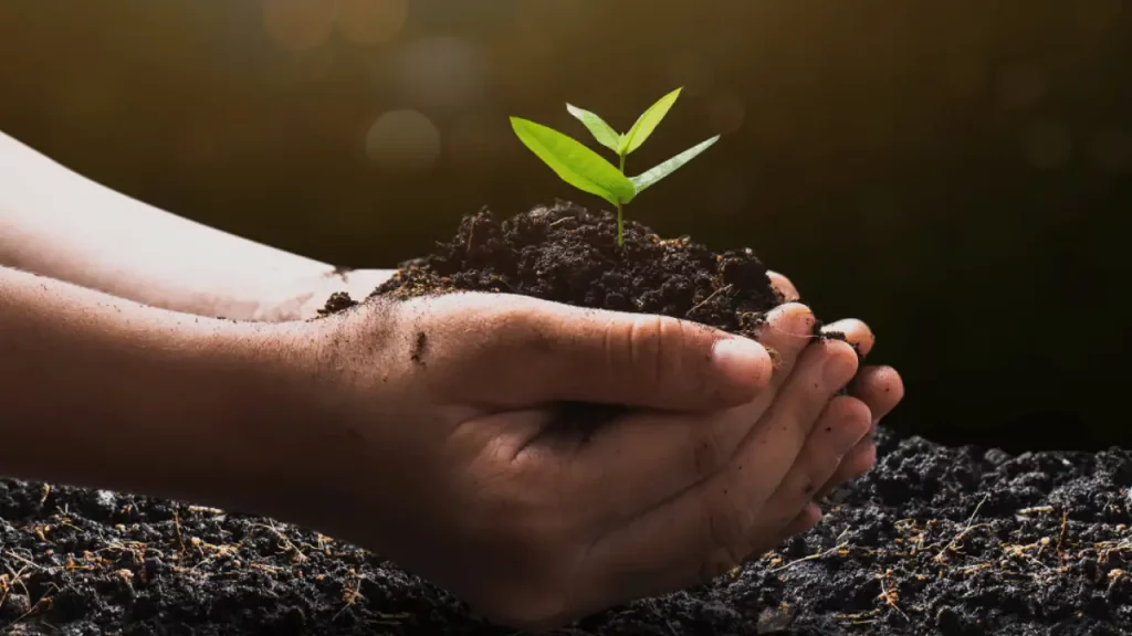 Birth Of A Giant: Ethiopian Investment Holdings Becomes Africa’s Second Largest With $45billion In Asset